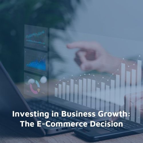 Investing in Business Growth: The E-Commerce Decision